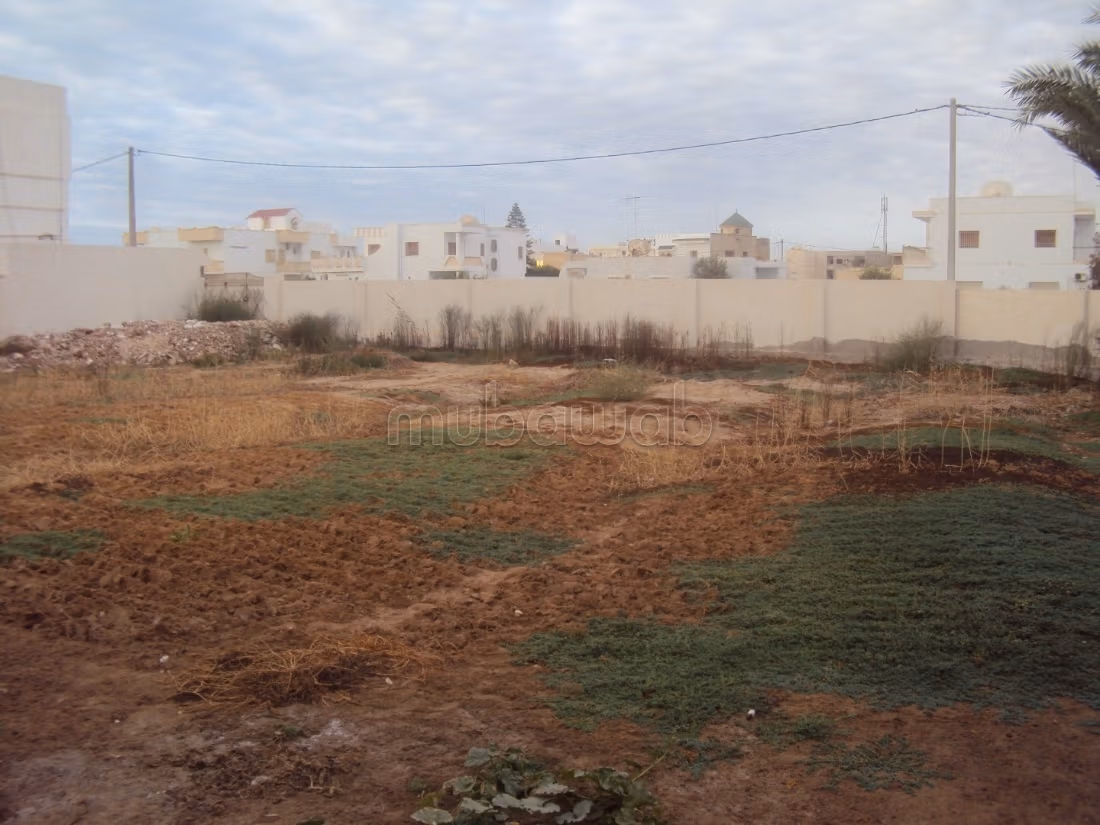 Terrain de 1430 m² Route EL AIN km 2