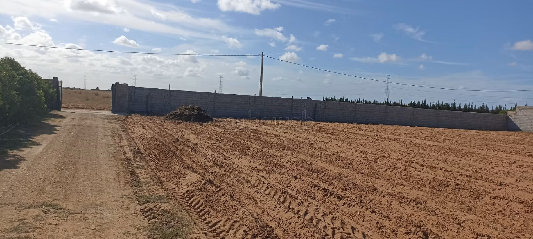 Ferme à la vente à bir jdid. Surface totale 5000 m². Résidence sécurisée