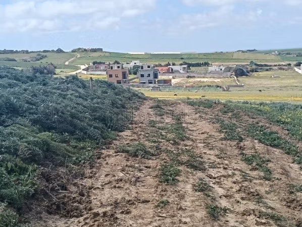 Land for sale in Tamezrat Kllibia