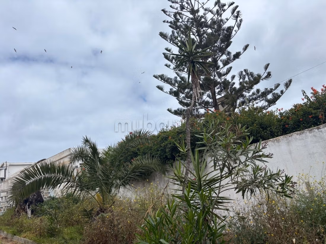 Cabanon en venta en Skhirat Plage Sud