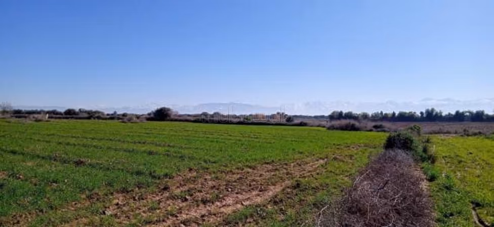 Terrain sur la Route Ourika