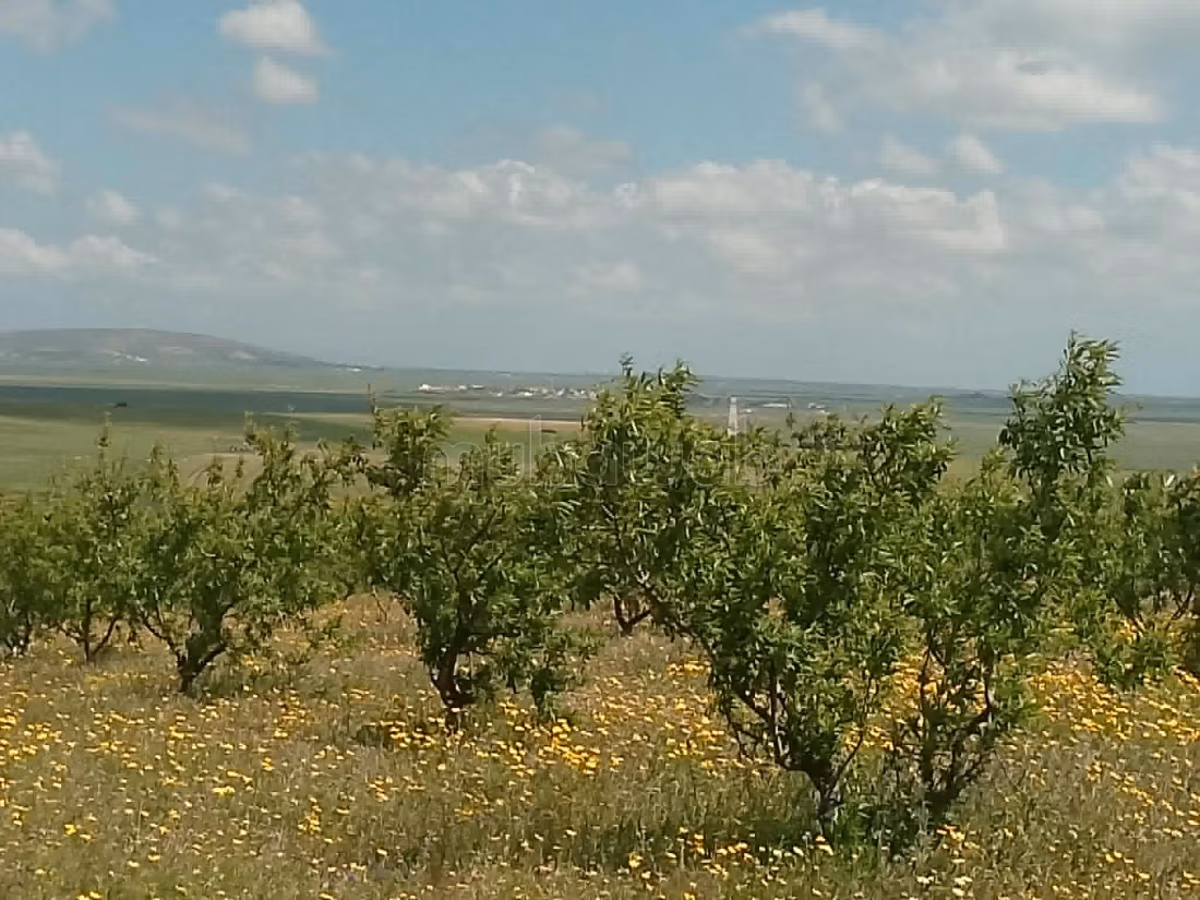 Fully fenced land