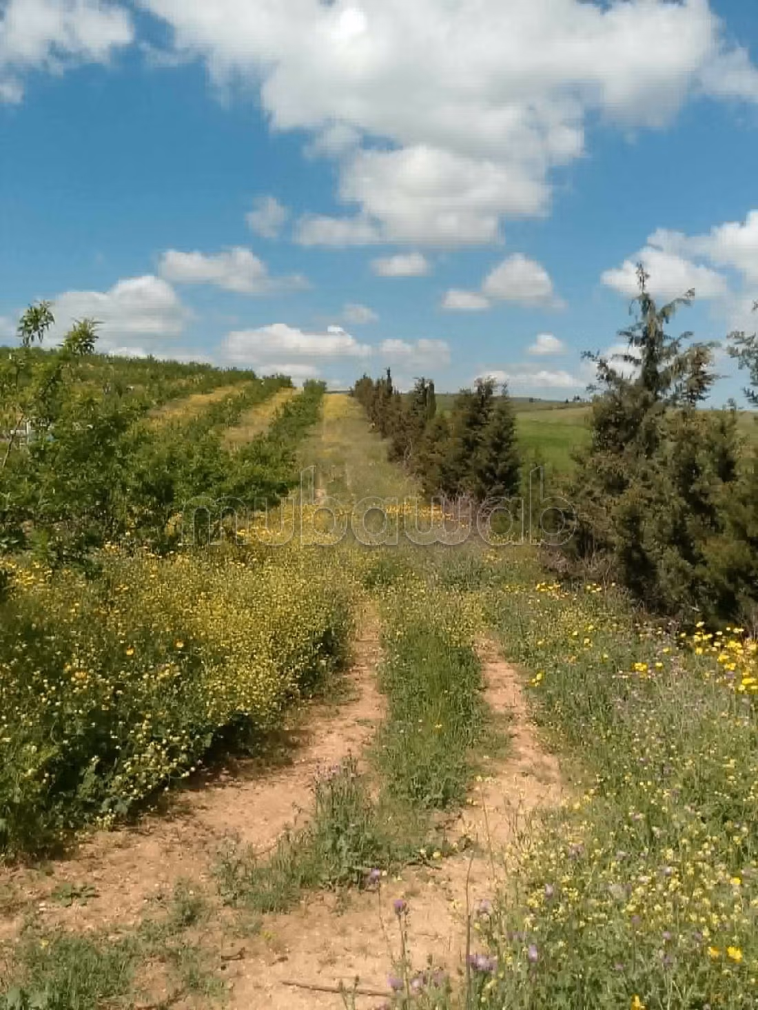 Fully fenced land