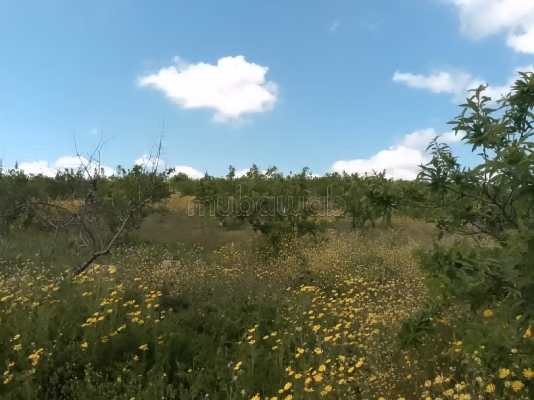 Fully fenced land