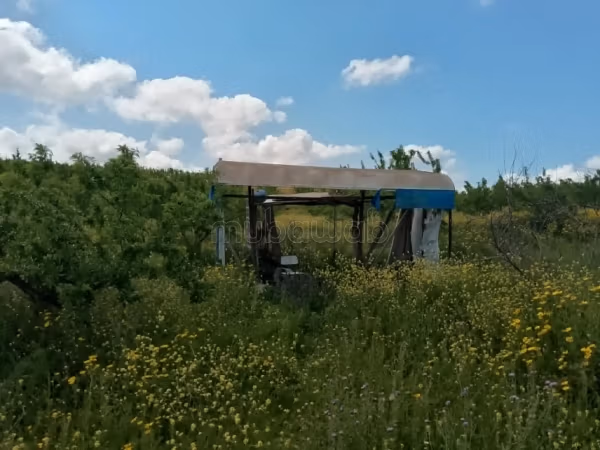 Fully fenced land