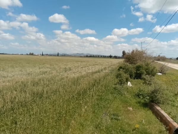 Terreno situato a Chaouat