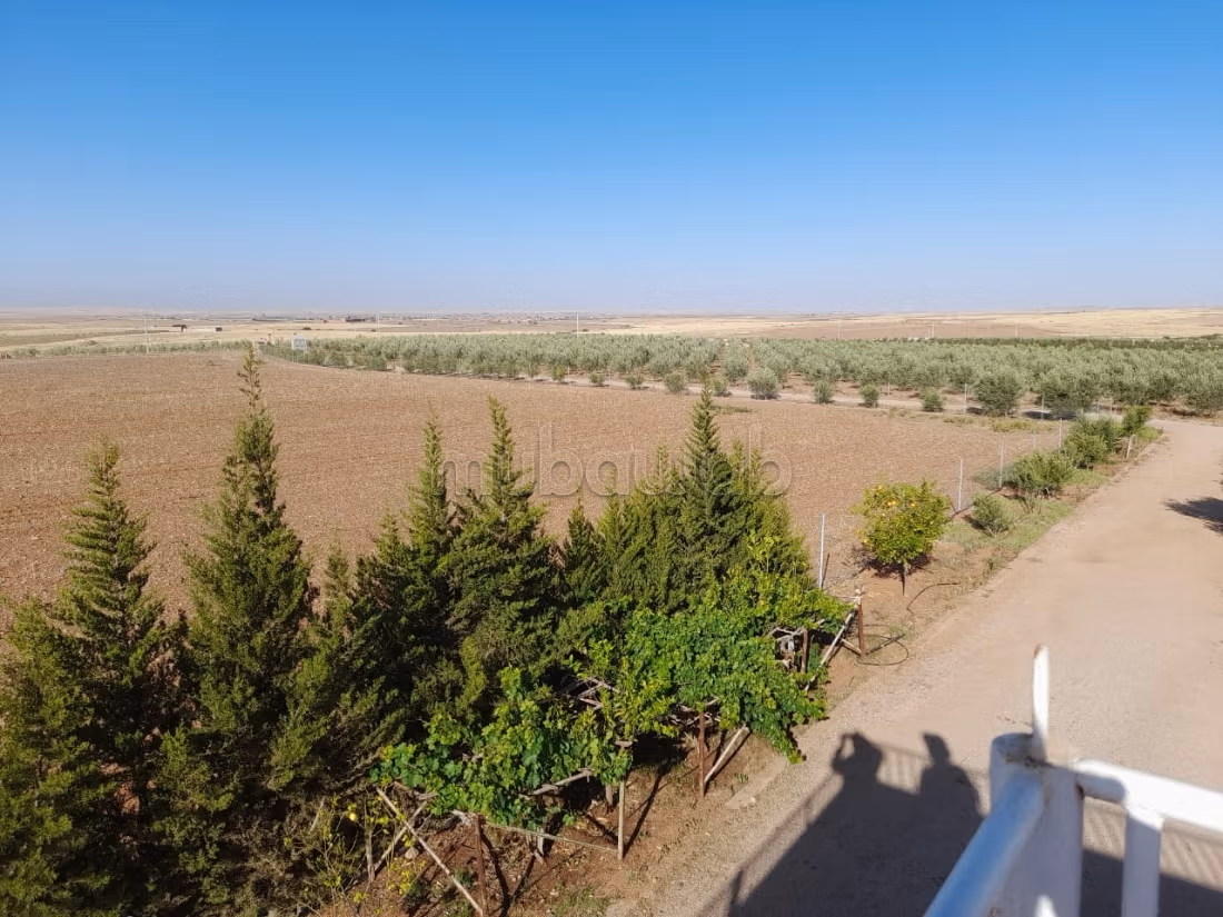 Kopen: land. Oppervlakte 87000 m²