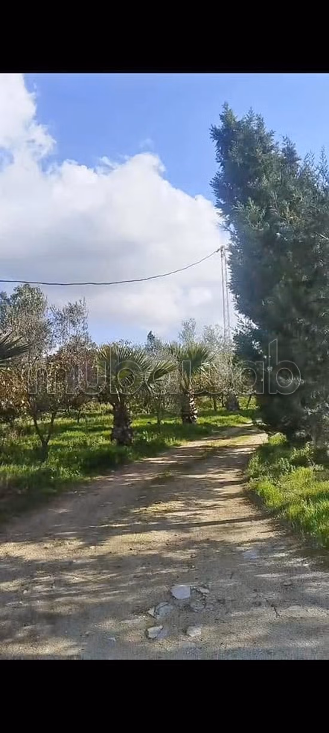 Beautiful farm for sale. Area 100000 m²