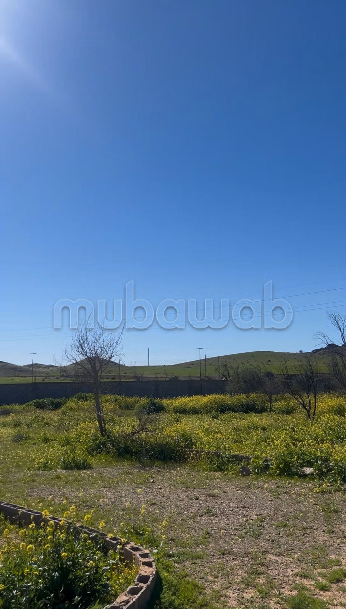 1-hectare land equipped with a well and a stable