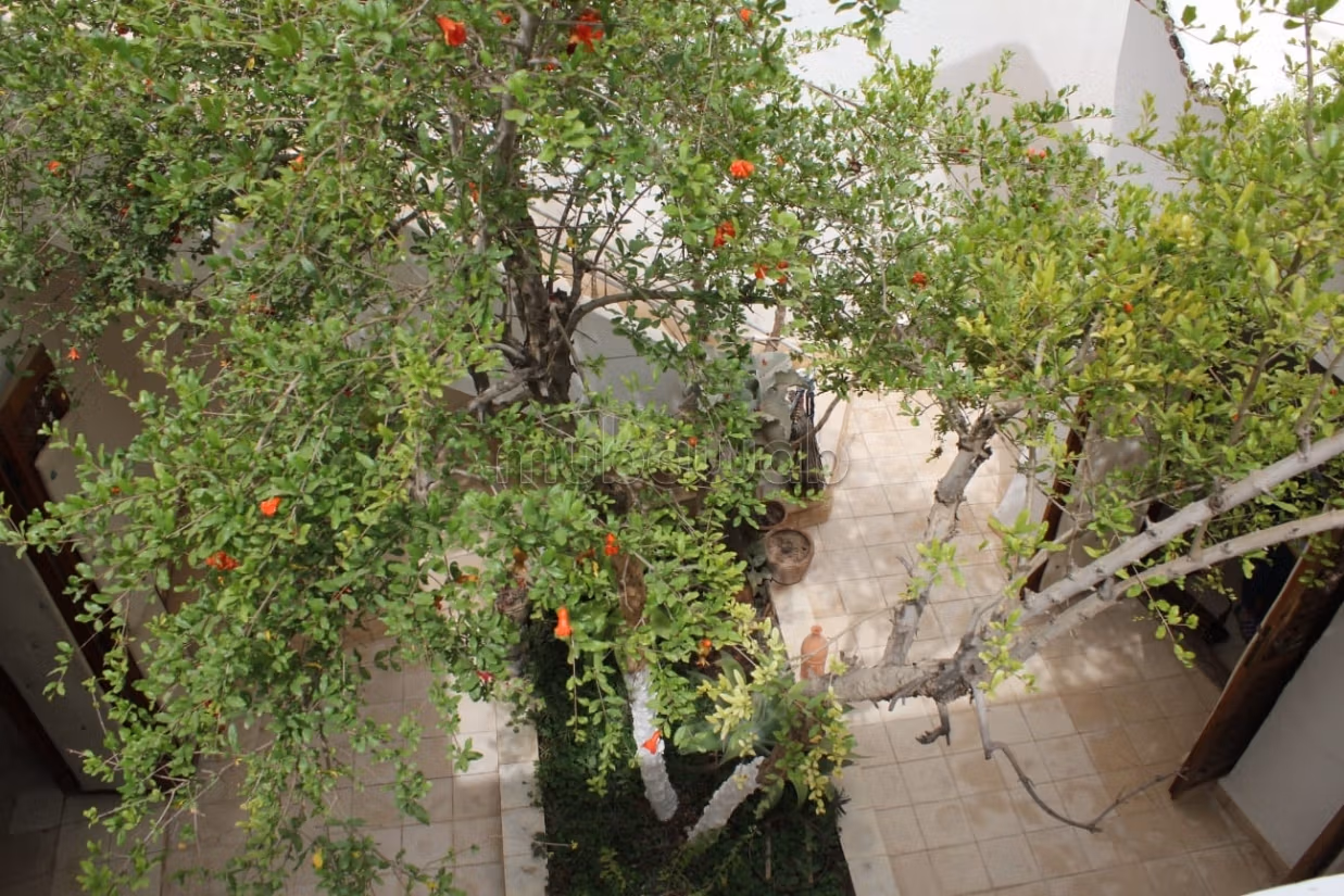 Riad titre en medina de taroudant