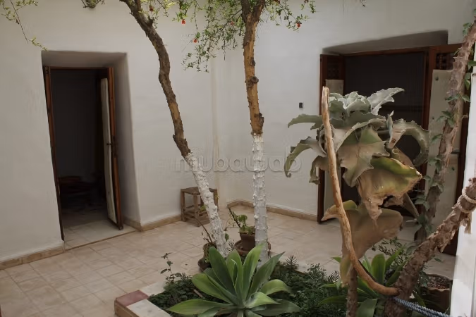 Riad titre en medina de taroudant