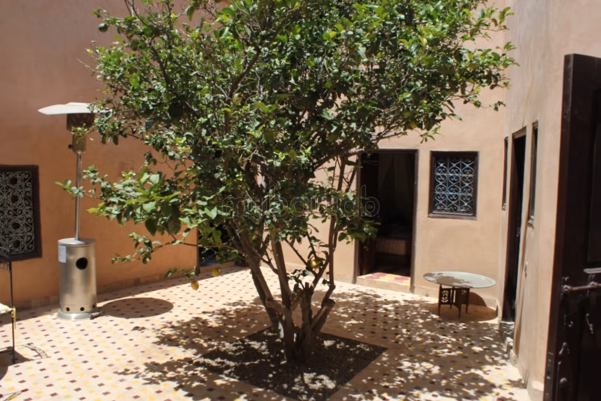 Superbe riad en zone agricole