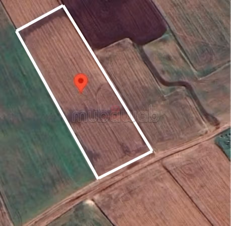 Vente Terrain agricole à Berrechid