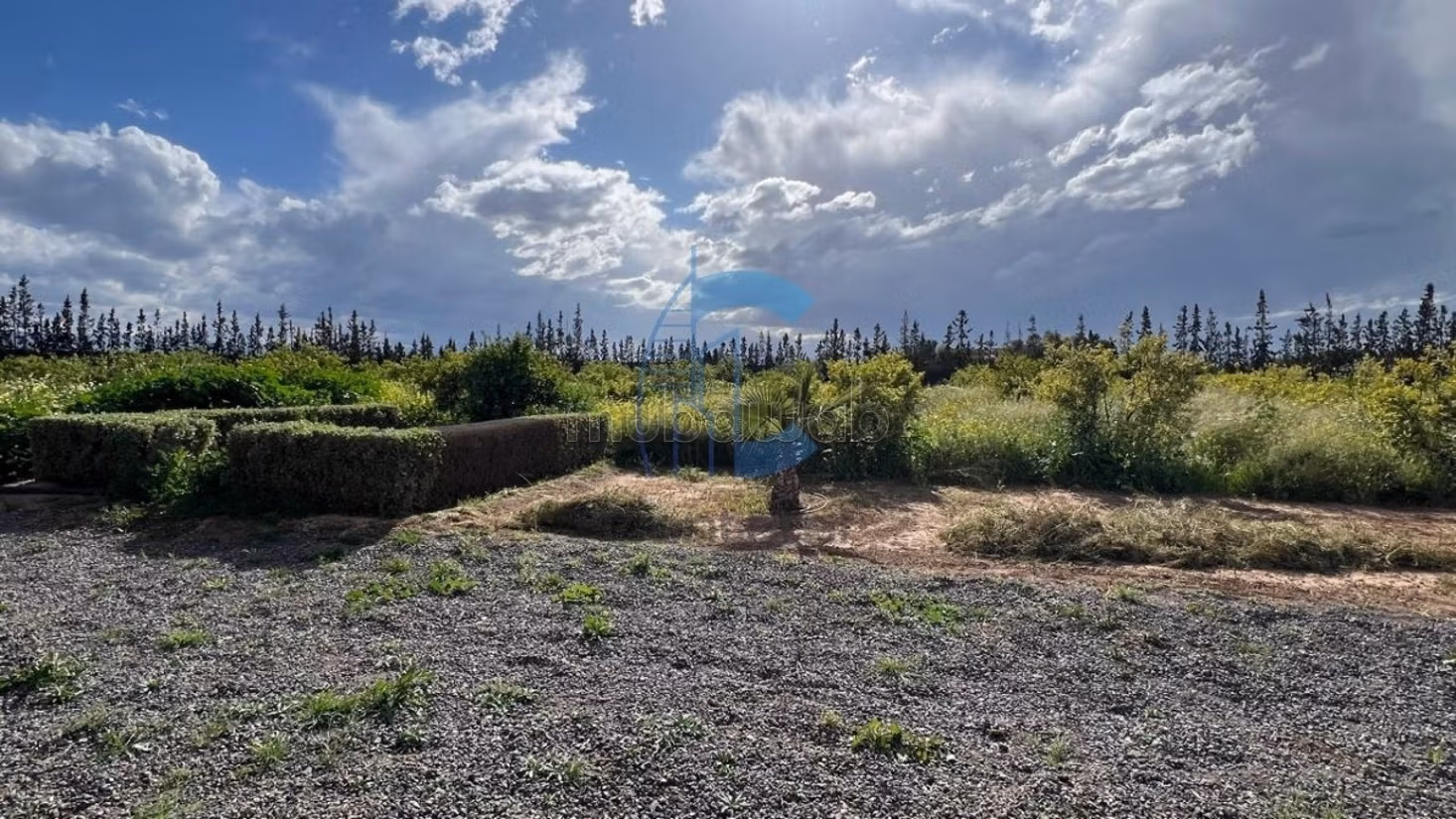 Villa di lusso arredata su 1 ettaro con piscina 26x6 m - strada di Amizmiz, Marrakech