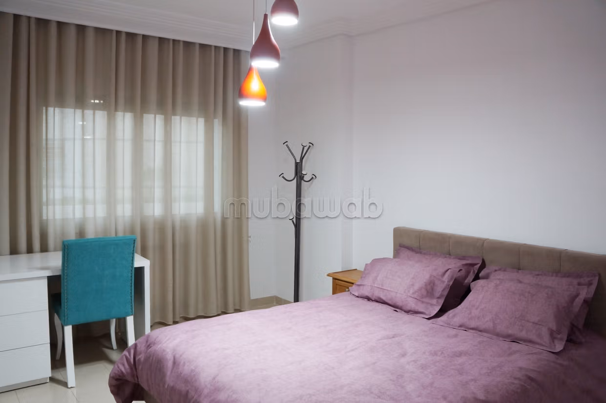 Spacious furnished apartment with lake view