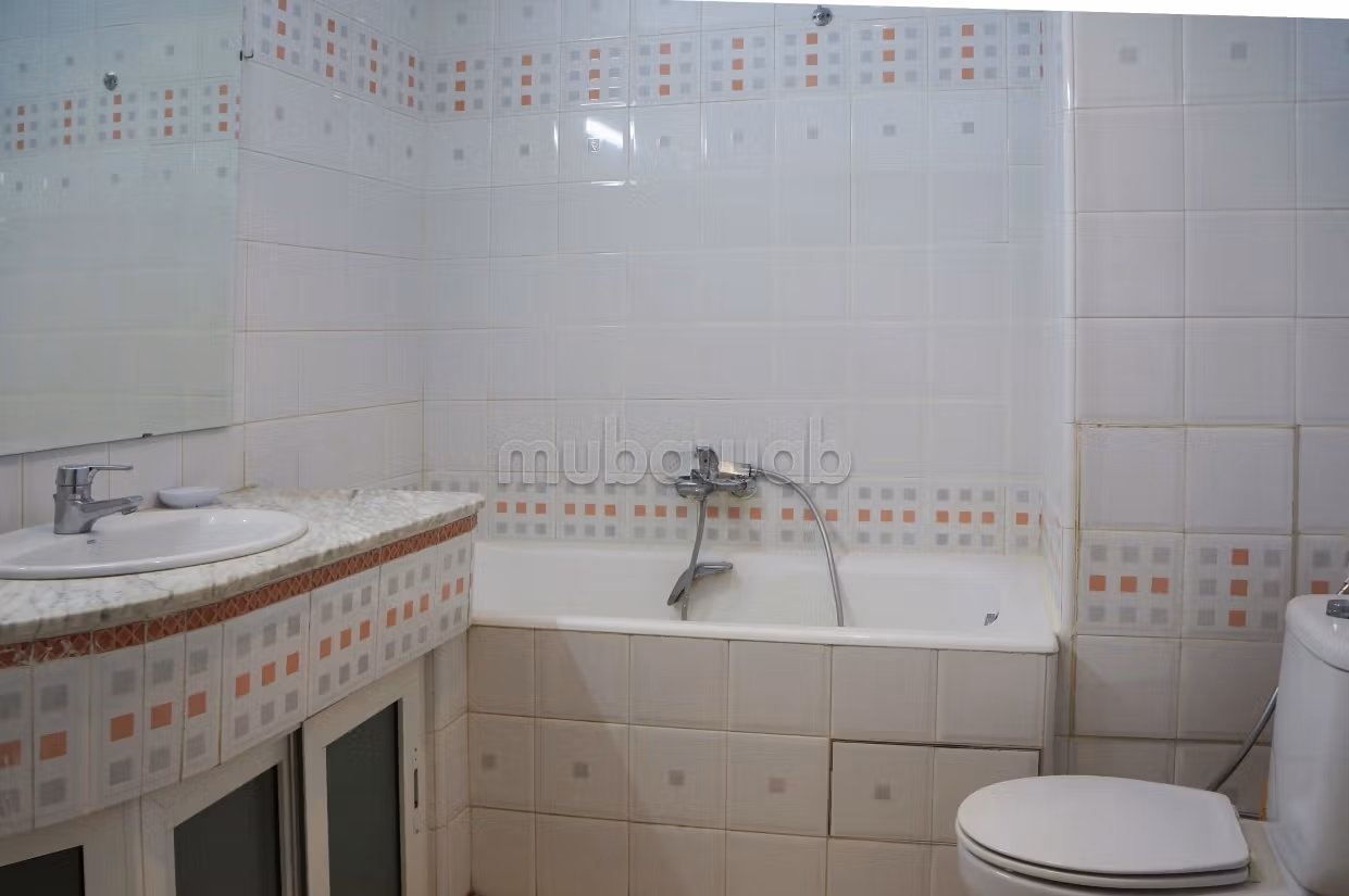 Spacious furnished apartment with lake view