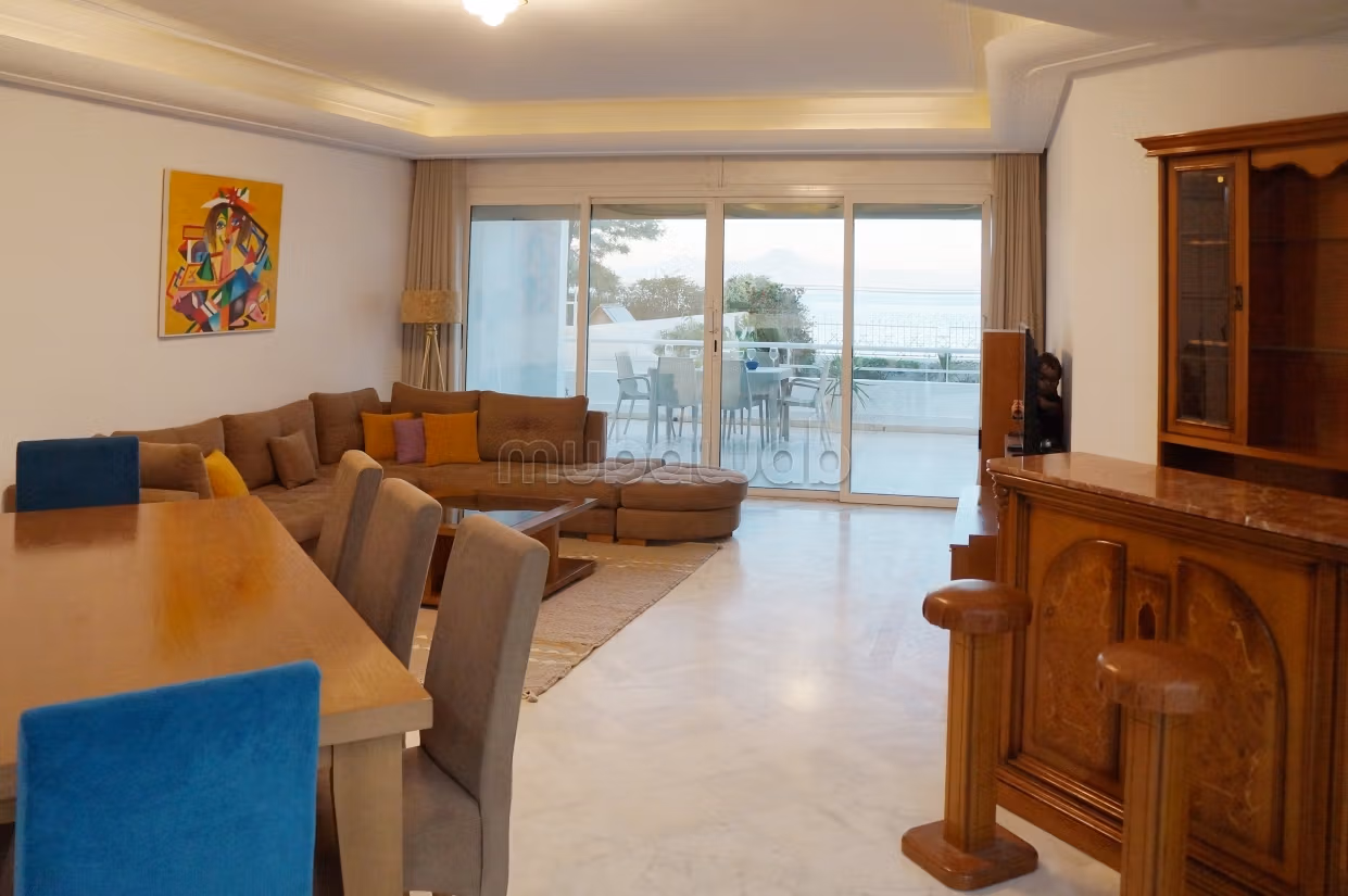 Spacious furnished apartment with lake view