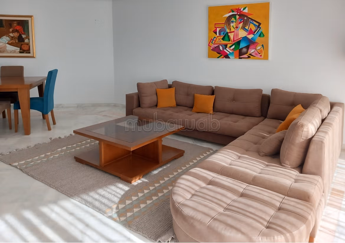 Spacious furnished apartment with lake view