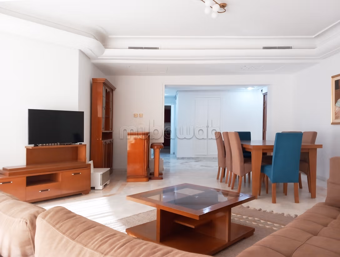 Spacious furnished apartment with lake view