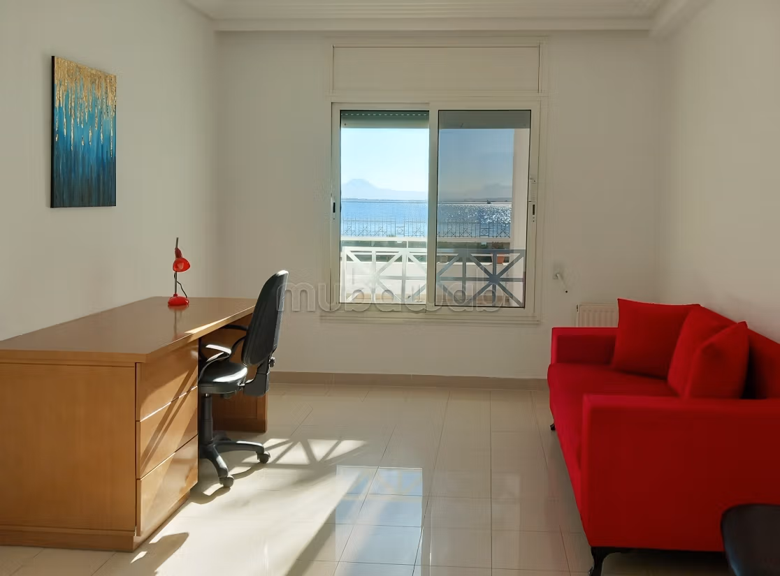 Spacious furnished apartment with lake view