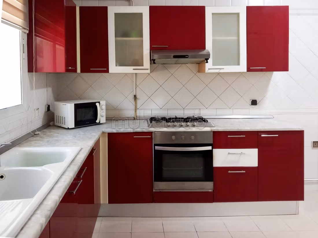 Spacious furnished apartment with lake view