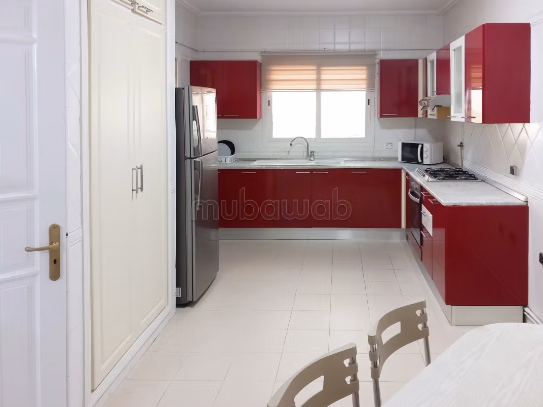 Spacious furnished apartment with lake view
