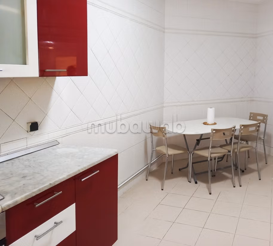 Spacious furnished apartment with lake view