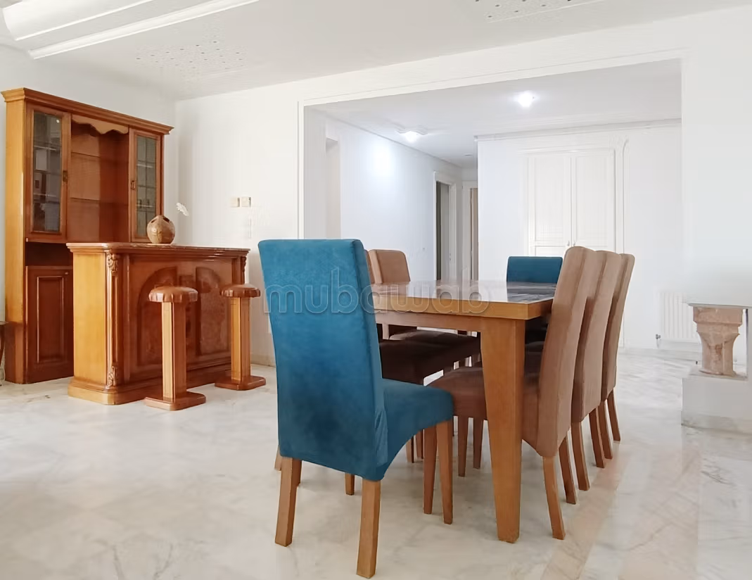 Spacious furnished apartment with lake view