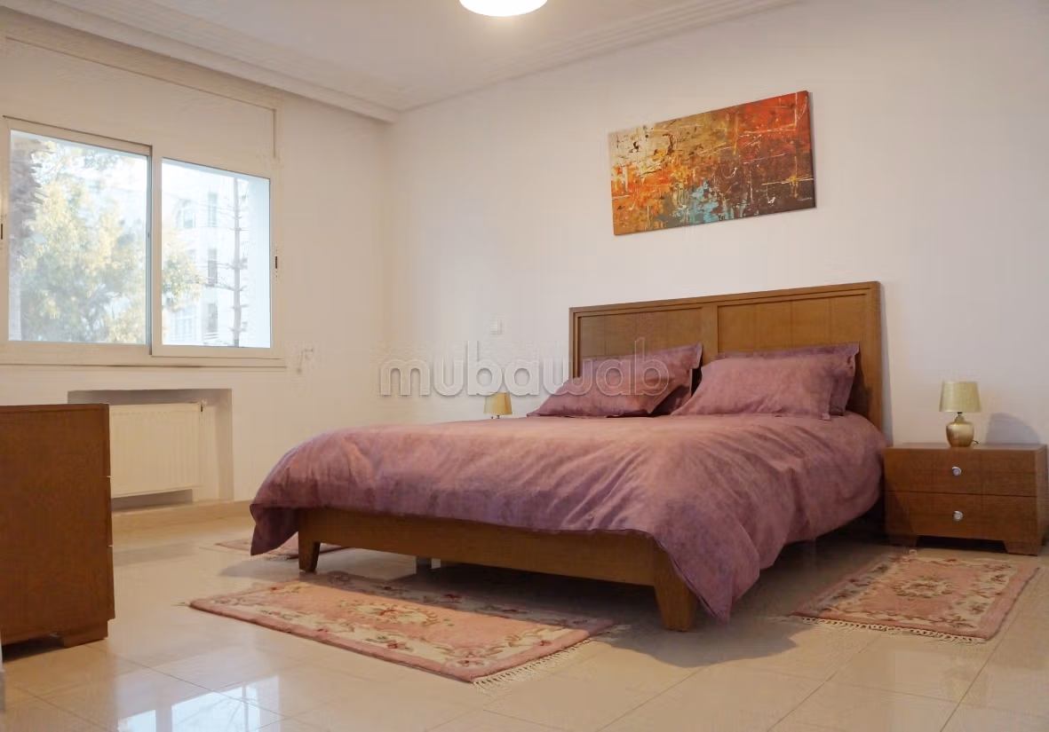 Spacious furnished apartment with lake view