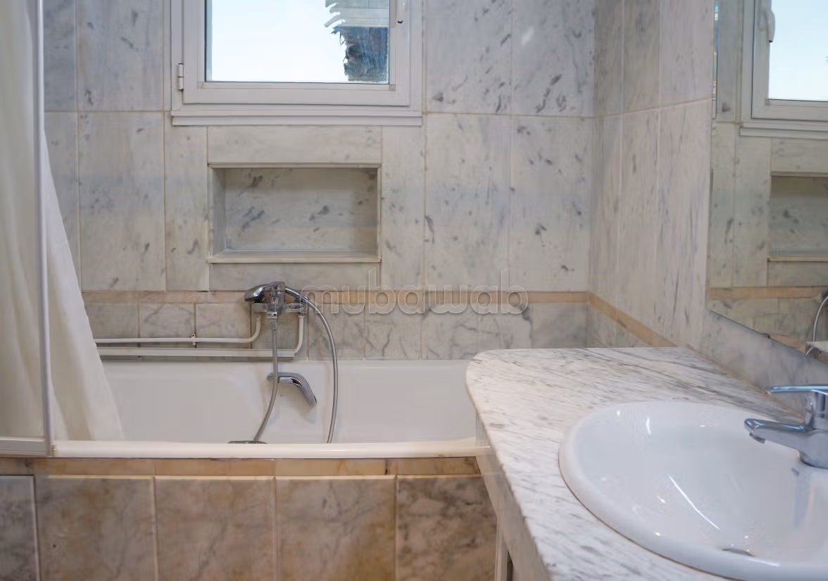 Spacious furnished apartment with lake view