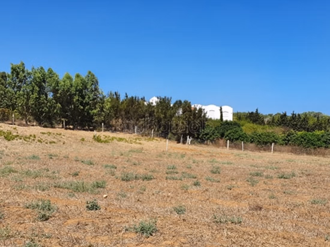 Lotti in vendita con vista mare a Ezzahra Kelibia