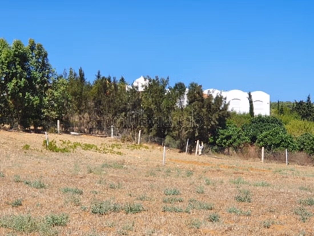 Lotti in vendita con vista mare a Ezzahra Kelibia