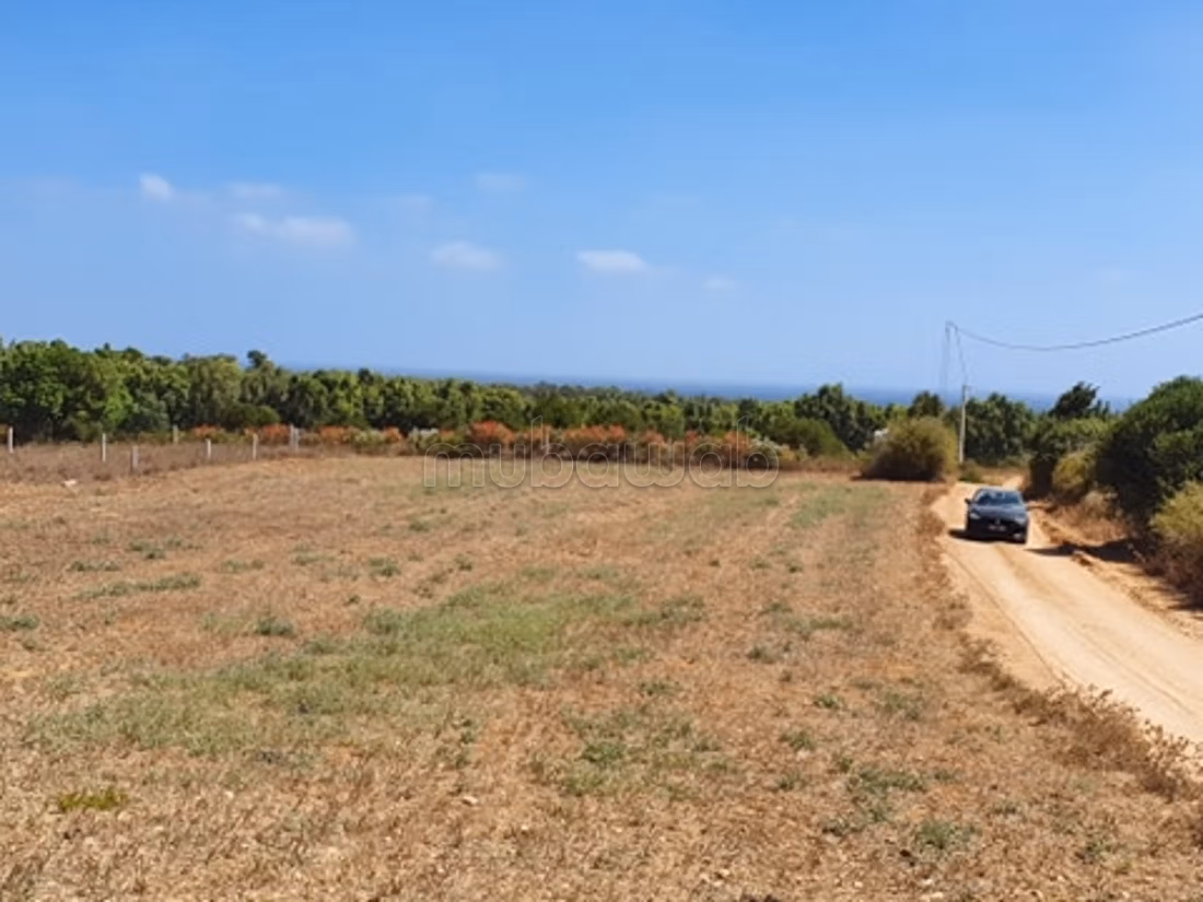 Lotti in vendita con vista mare a Ezzahra Kelibia