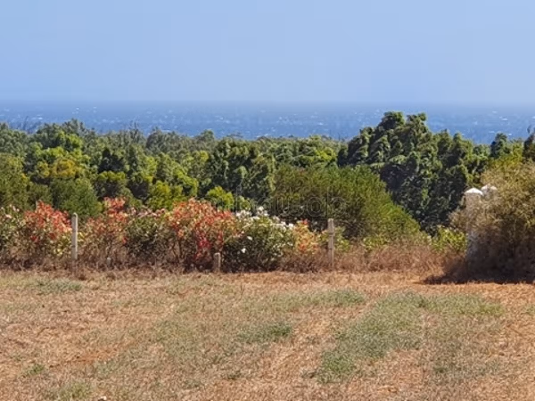 Lots for sale with sea view in Ezzahra Kelibia