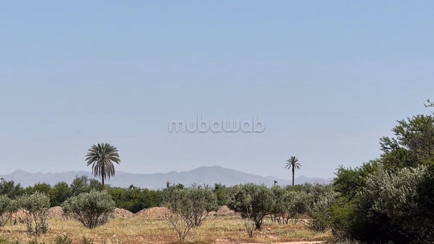 Terrain 2 hectares, paved road, 15 km