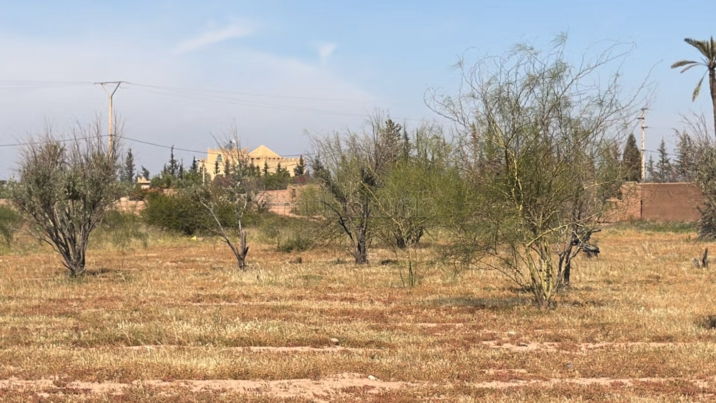 Terrain 2 hectares, paved road, 15 km
