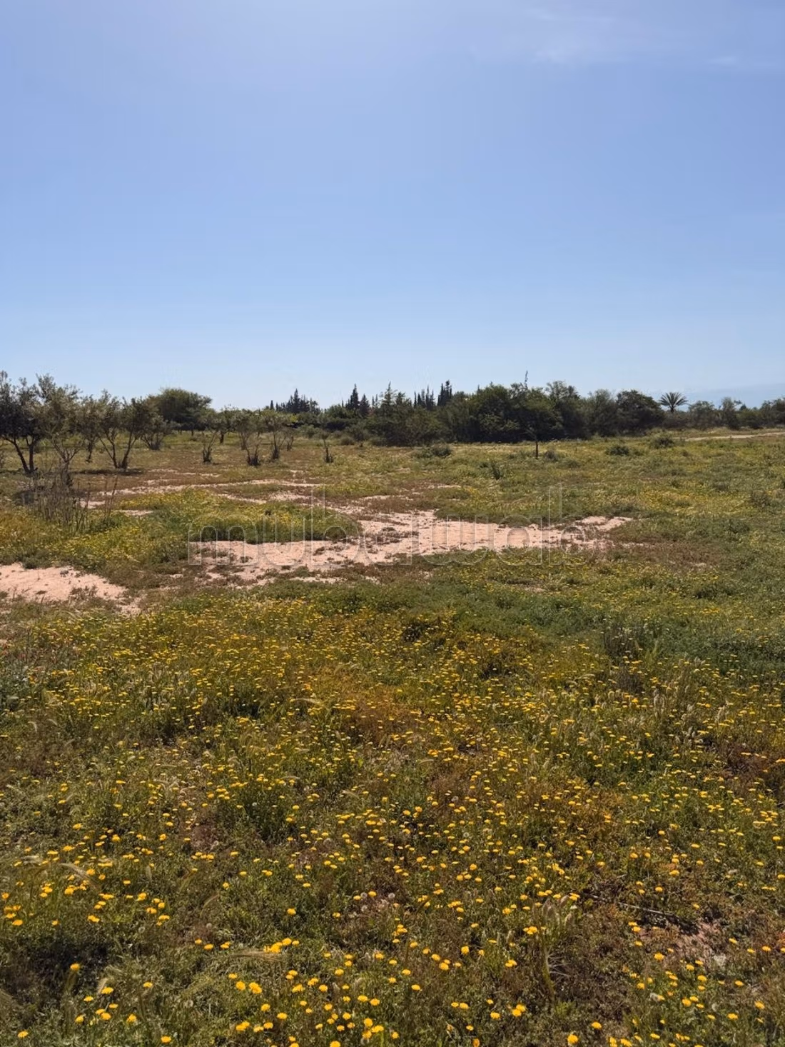 Terrain 2 hectares, paved road, 15 km