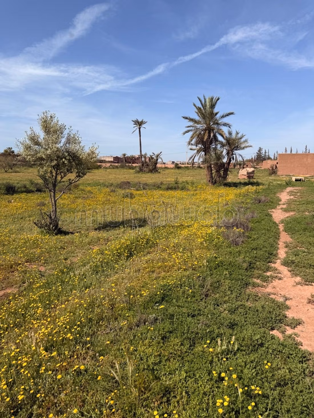 Terrain 2 hectares, paved road, 15 km