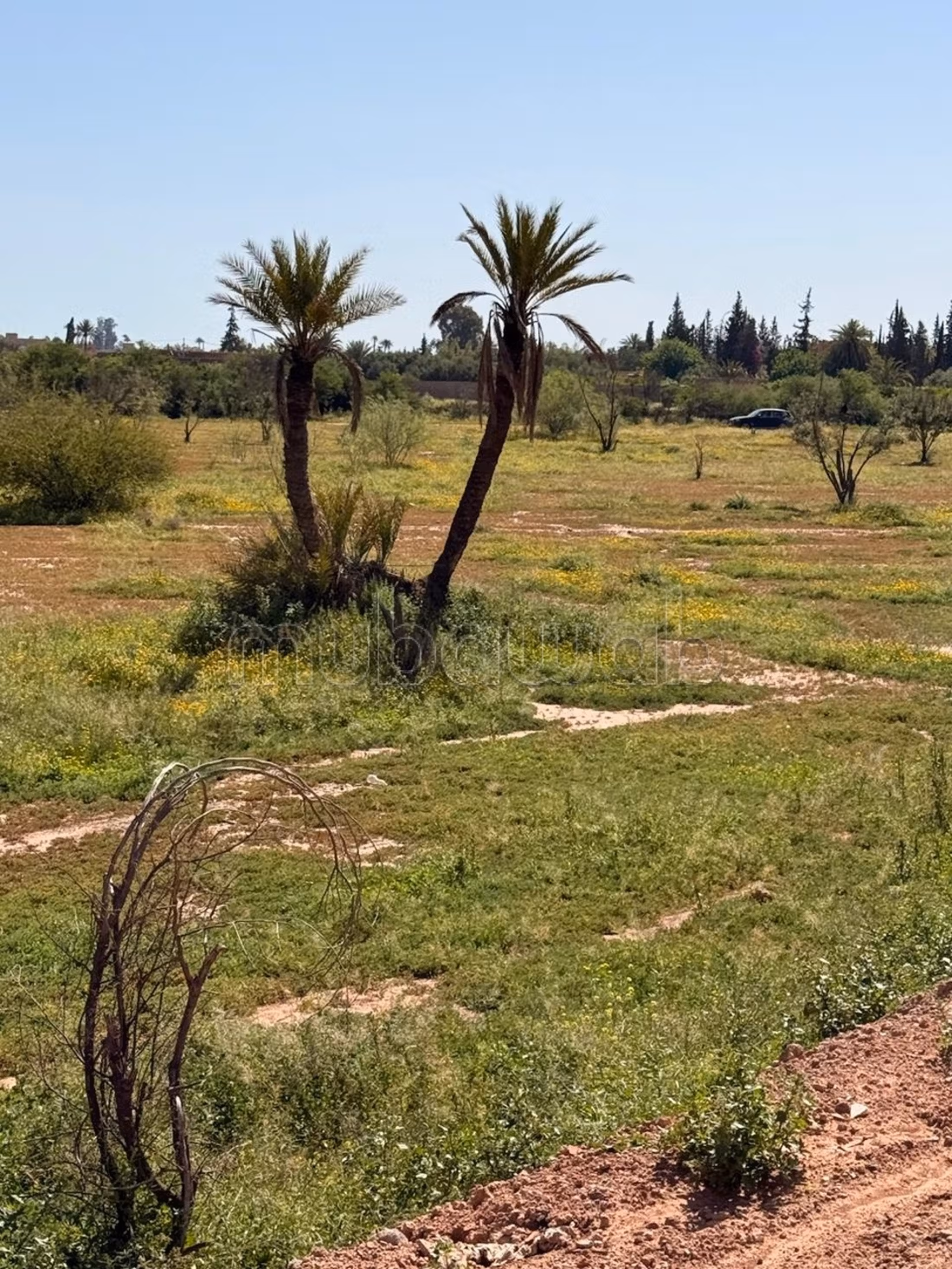 Terrain 2 hectares, paved road, 15 km