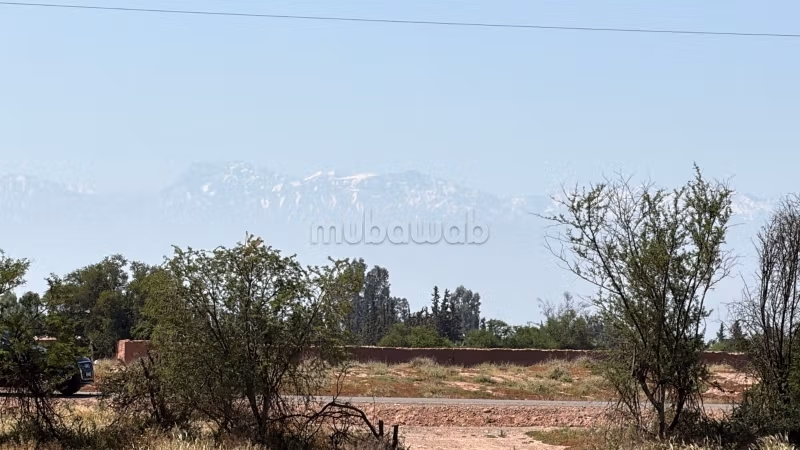 Terreno de 2 hectáreas, carretera asfaltada, km 15