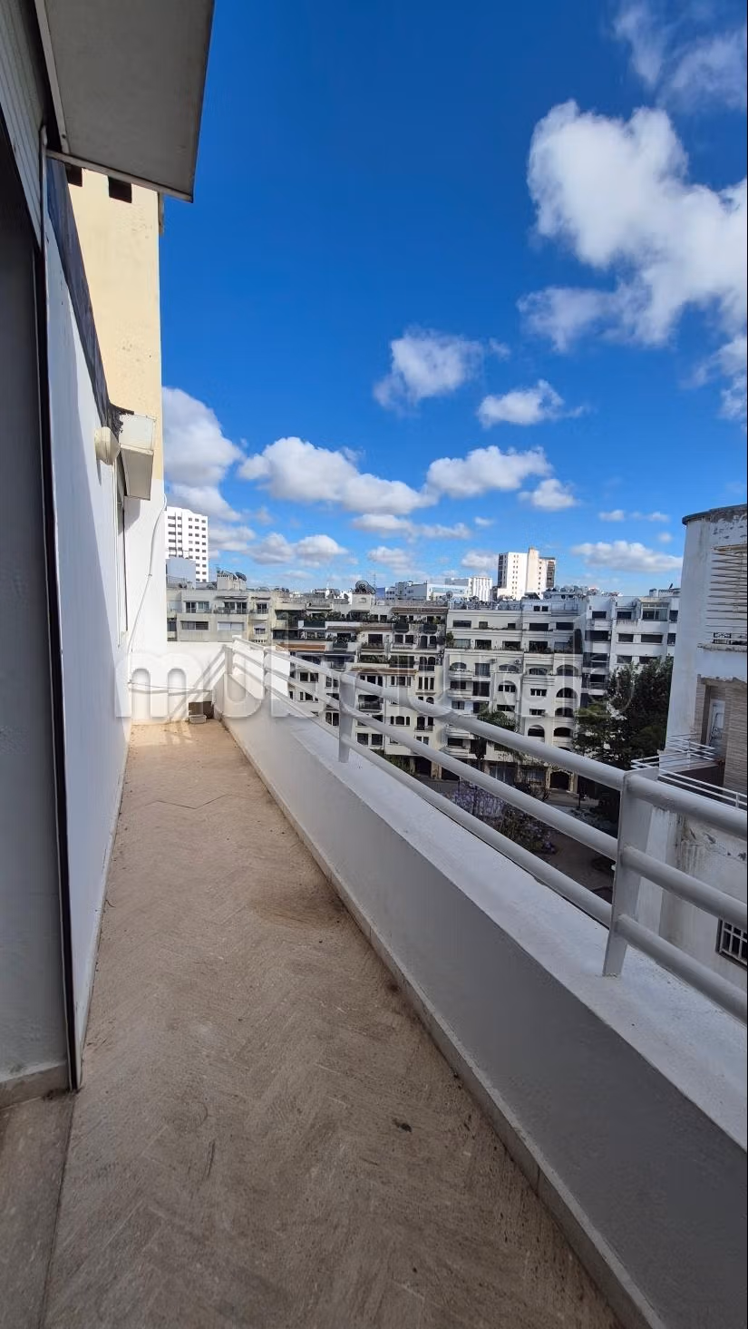 A louer Appartement 180m2 3ch Palmier