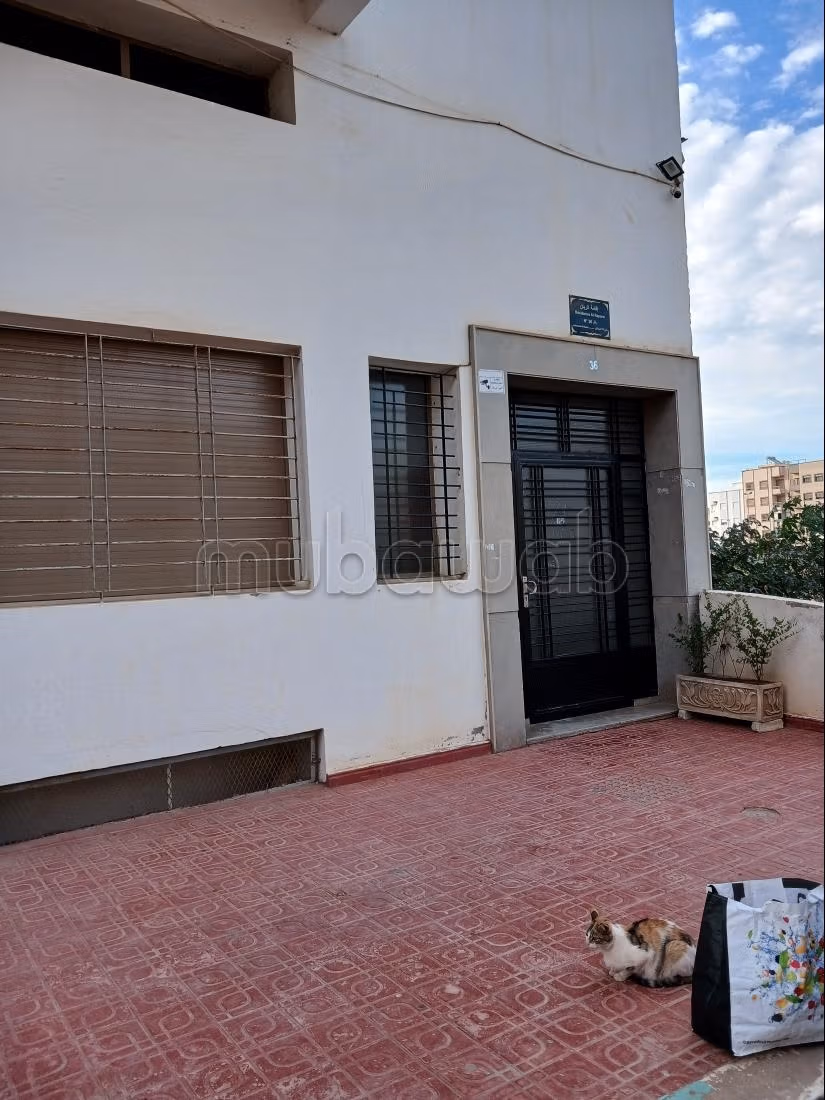 Appart 90 m² 2chsalon proche Sela Park — 3