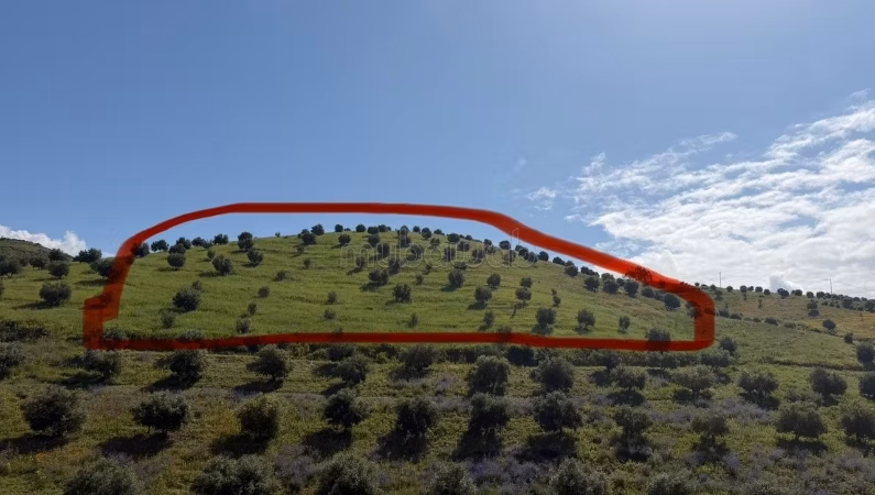 Excelente terreno a la venta