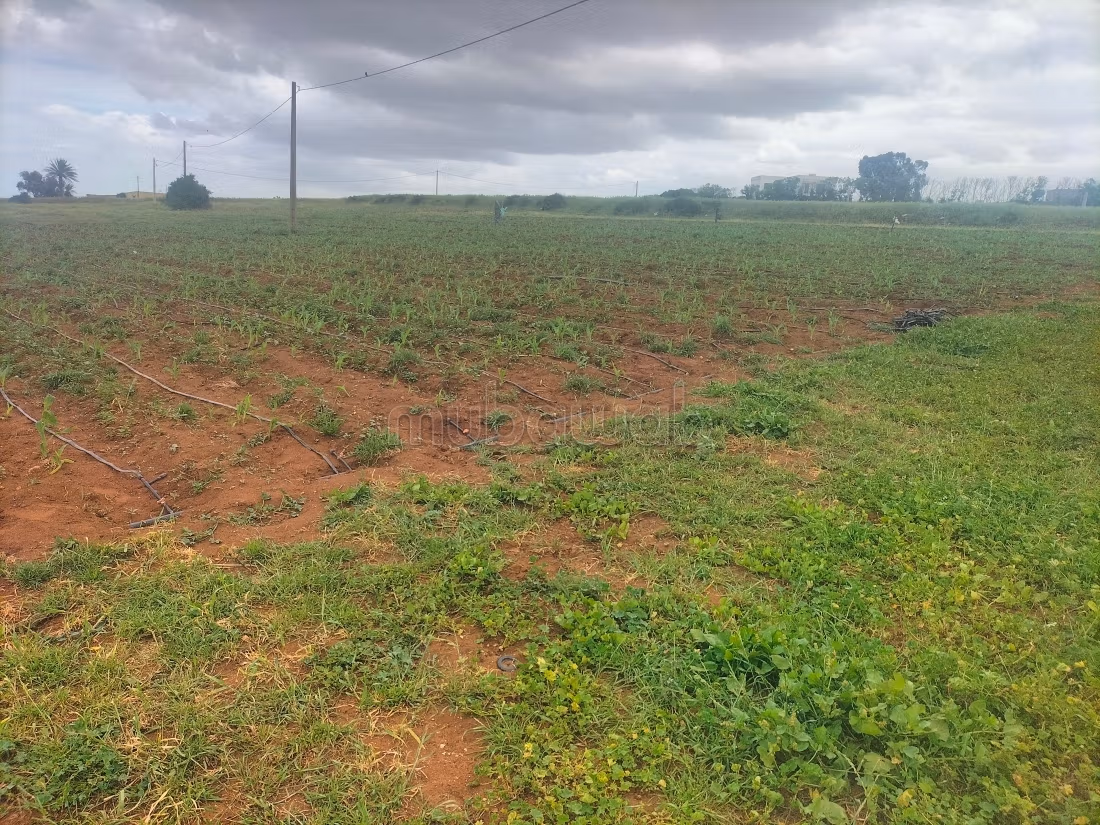 Terrain titrer avec depit ou hongar sur goudron