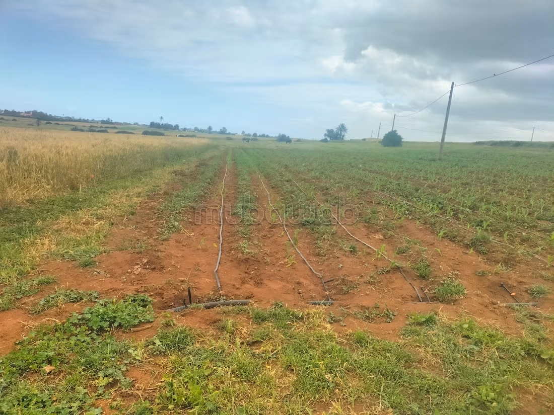 Terrain titrer avec depit ou hongar sur goudron