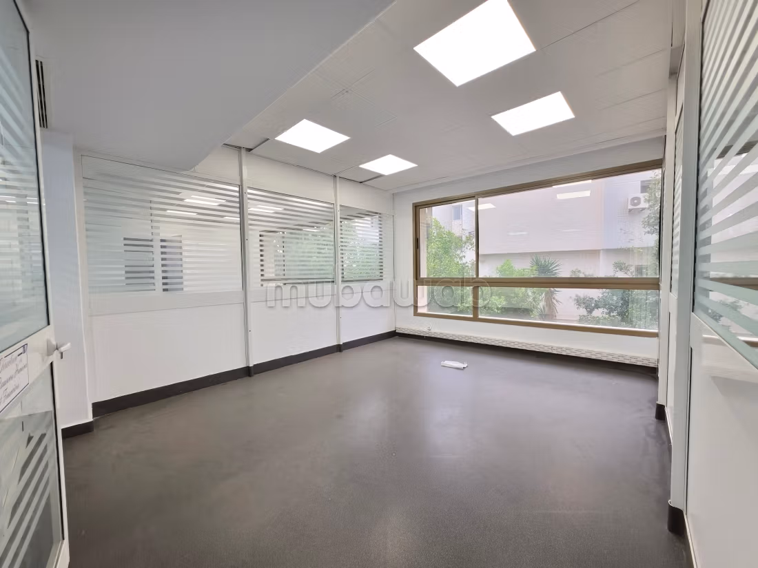 Open space de 260 m² au lac 2
