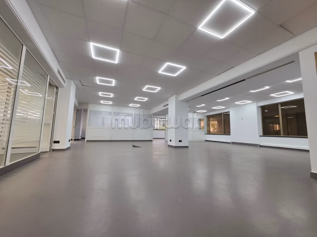 Open space de 260 m² au lac 2