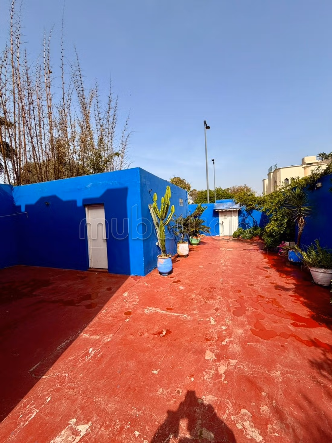 Villa in affitto superficie 465m² vista mare