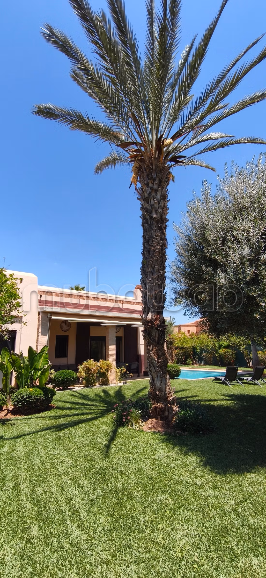 Superbe villa plain pied