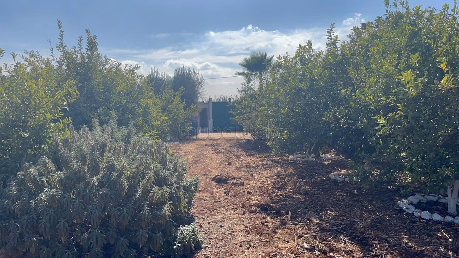 A vendre belle ferme titrée entre fes et meknes